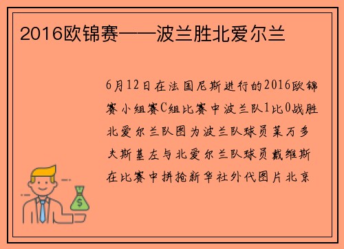 2016欧锦赛——波兰胜北爱尔兰